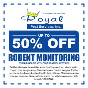 rodent monitoring coupon