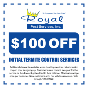 termite control coupon
