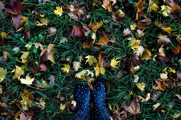photo of blue boots standing in grass and fallen leaves
