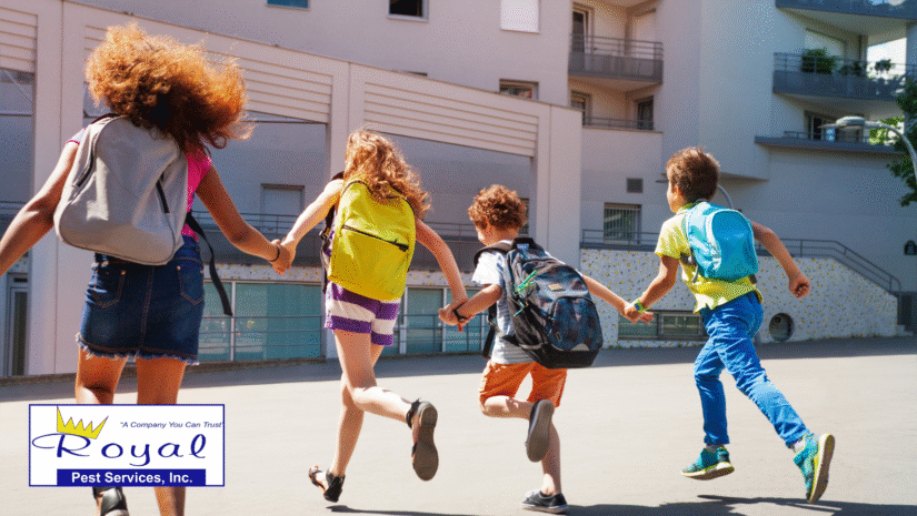 Back-to-School Pest Control Checklist for Families